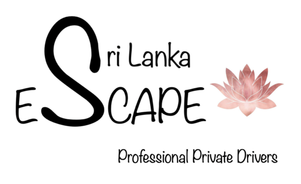 Excellent chauffeur pour vos vacances au Sri Lanka